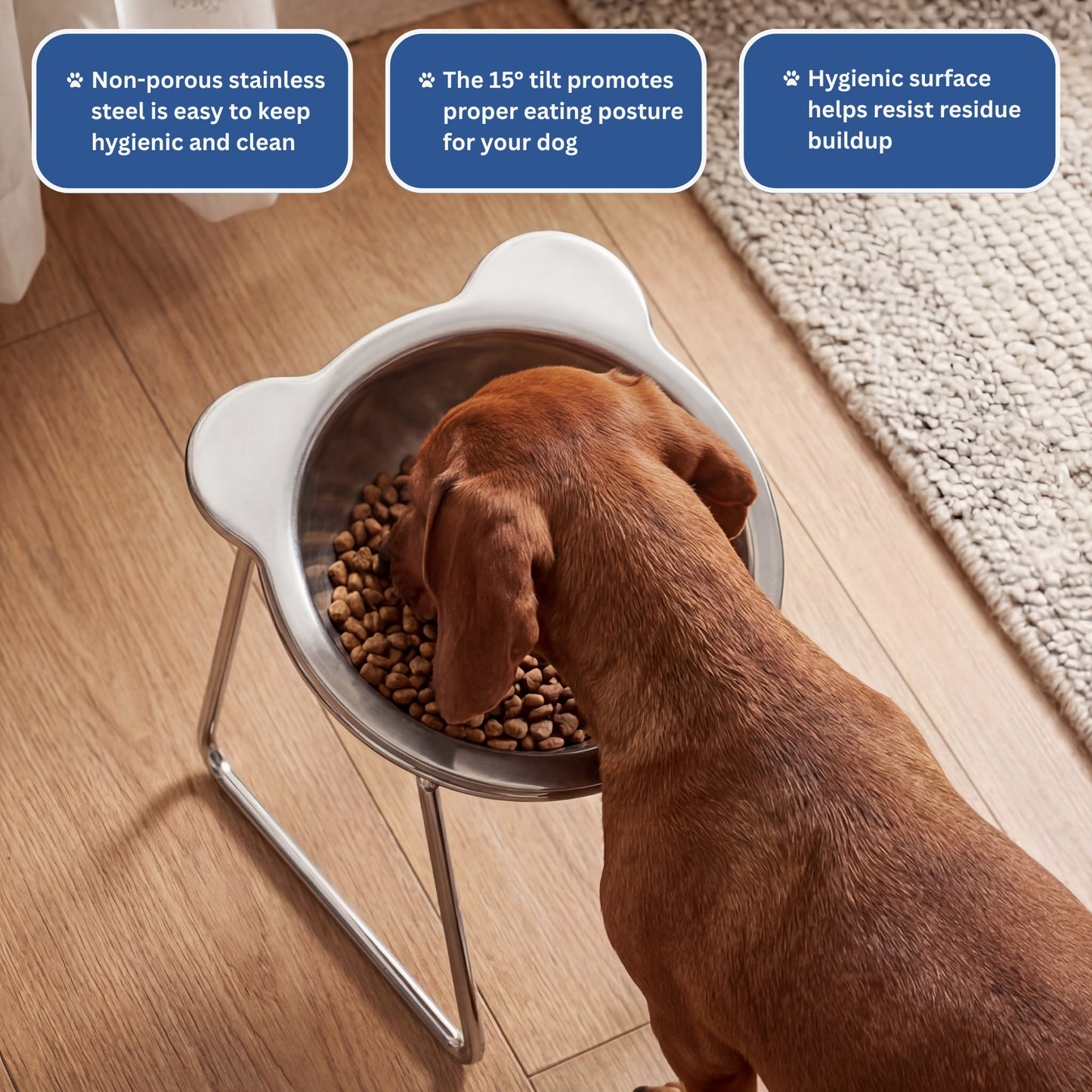 Orthopedic Feeding Bowl (with Bowl Stands)