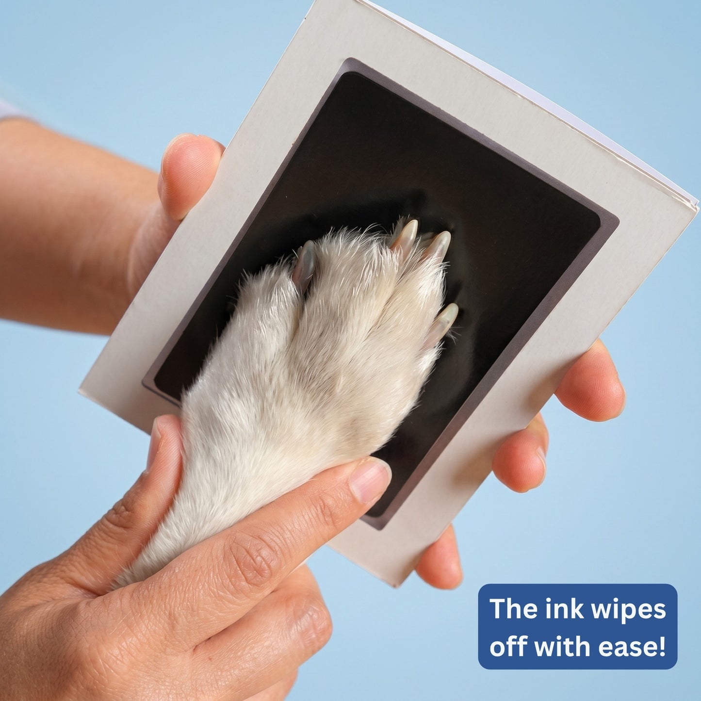 Smith & Woofers™ Paw Print Kit