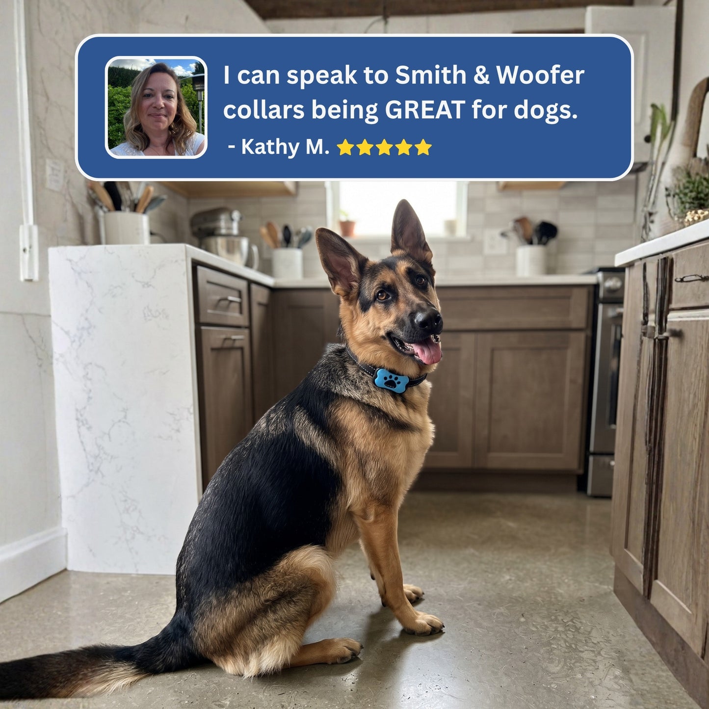 Smith & Woofers™ Anti-Barking Vibration Collar