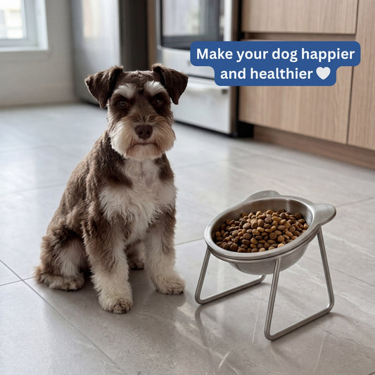 Orthopedic Feeding Bowl (with Bowl Stands)