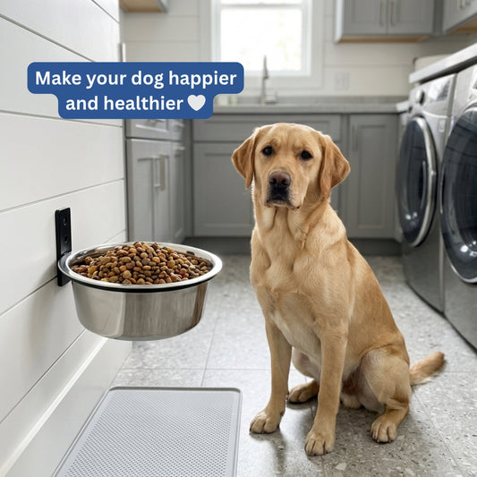 Smith & Woofers™ Orthopedic Wall Feeder