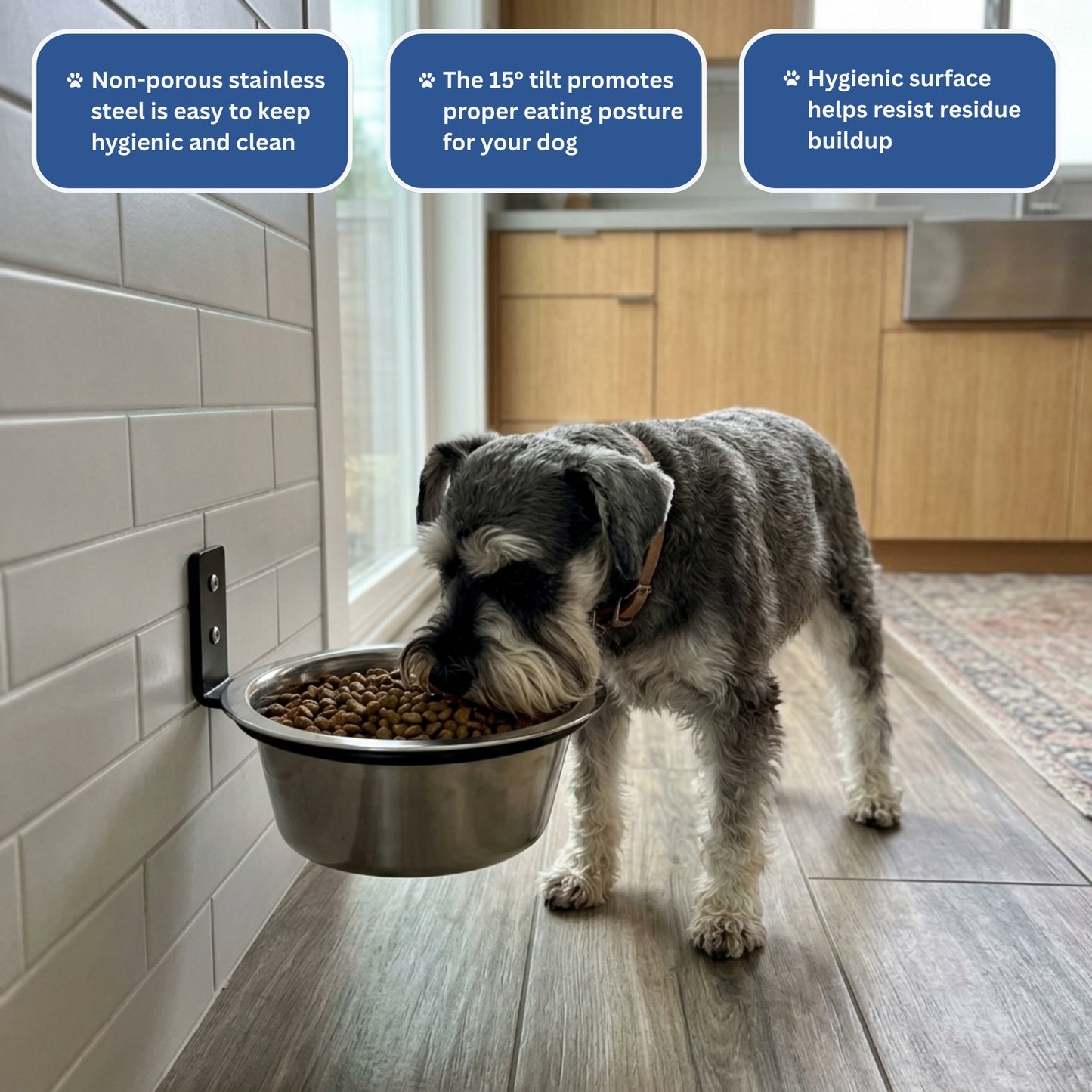 Smith & Woofers™ Orthopedic Wall Feeder
