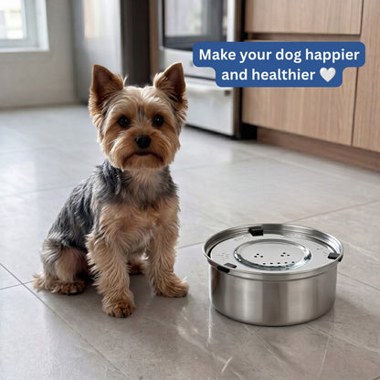 Smith & Woofers™ Orthopedic Anti-Spill Water Bowl