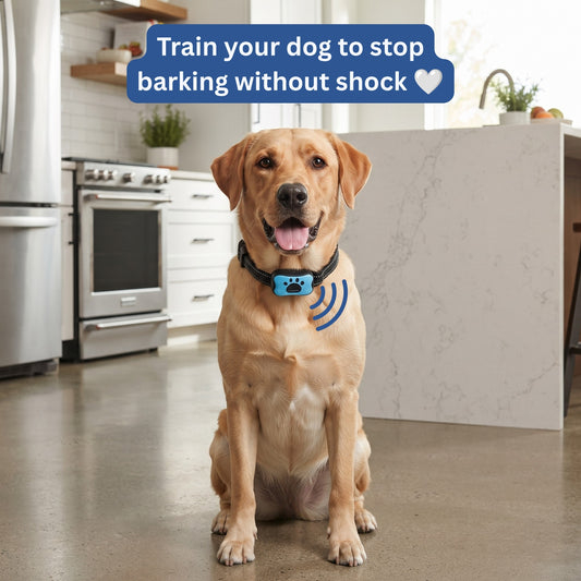 Smith & Woofers™ Anti-Barking Vibration Collar