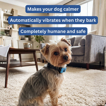 Smith & Woofers™ Anti-Barking Vibration Collar