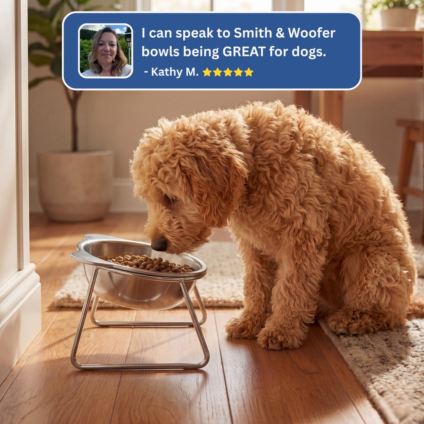 Orthopedic Feeding Bowl (with Bowl Stands)